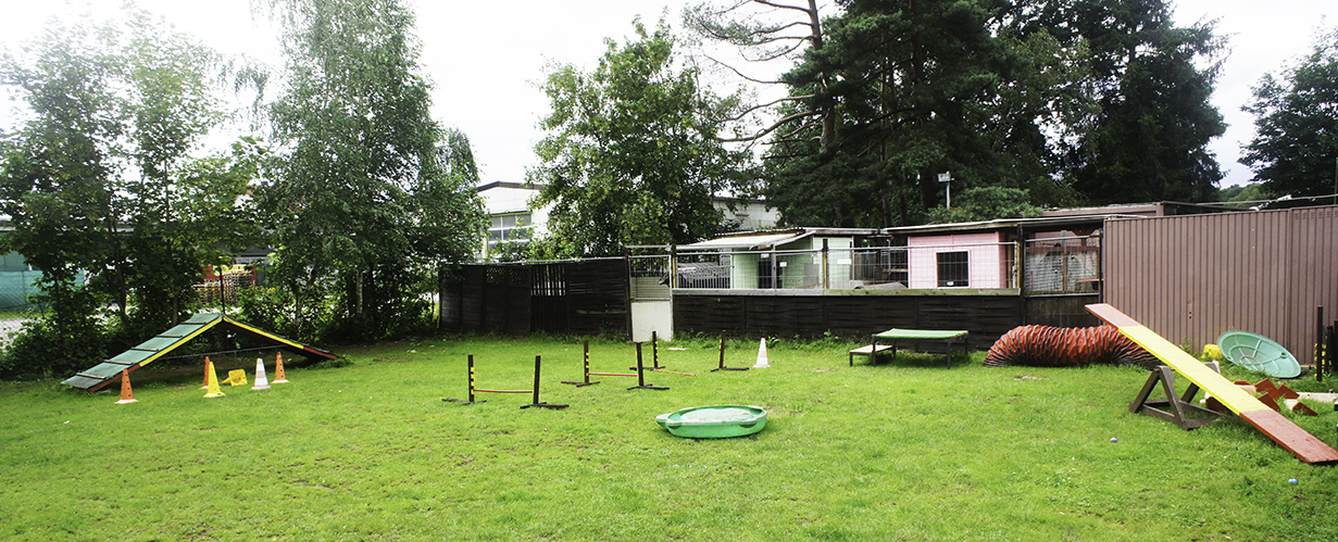 Dog Boarding near Ramstein